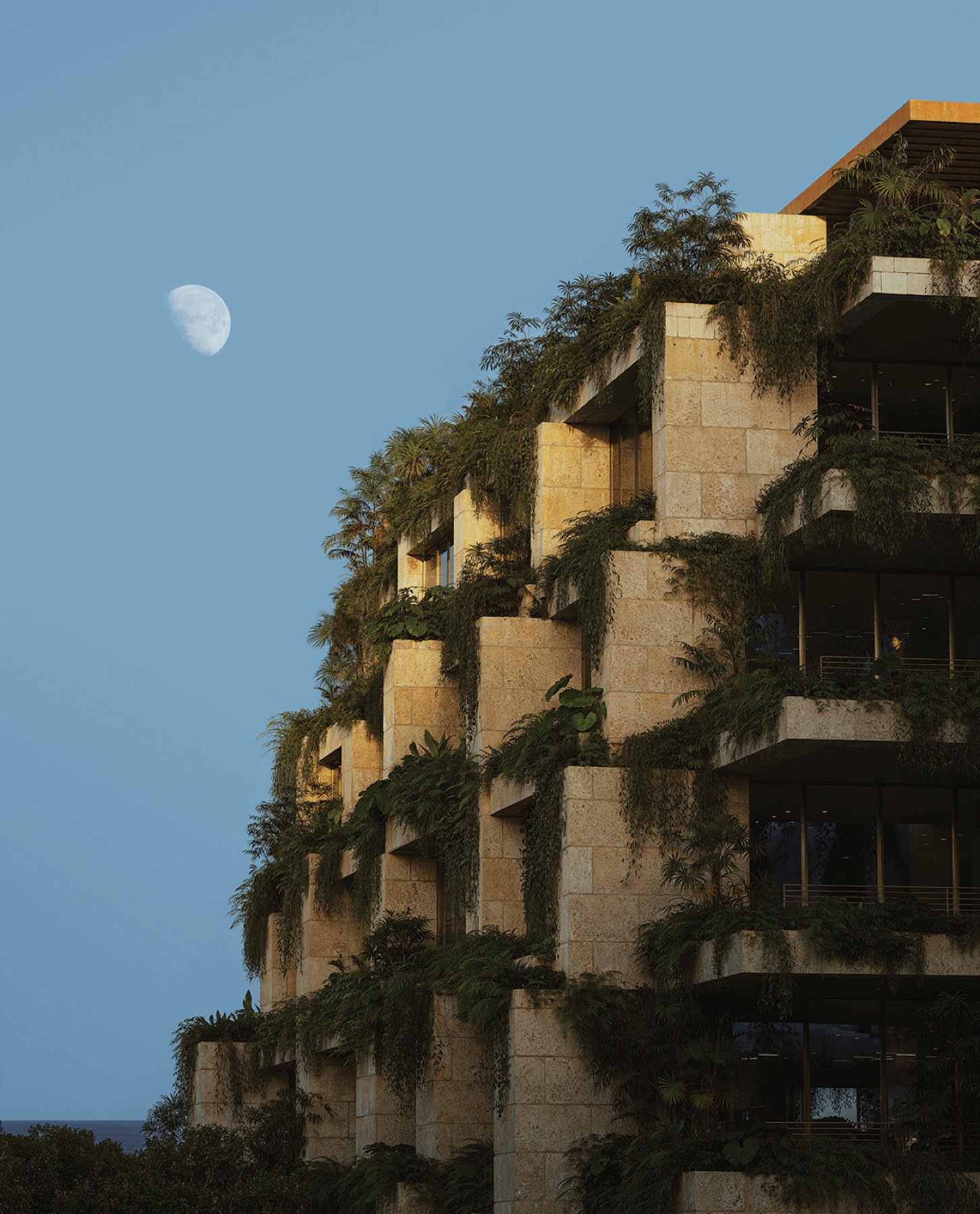 Render de Ziggurat, Coconut Grove